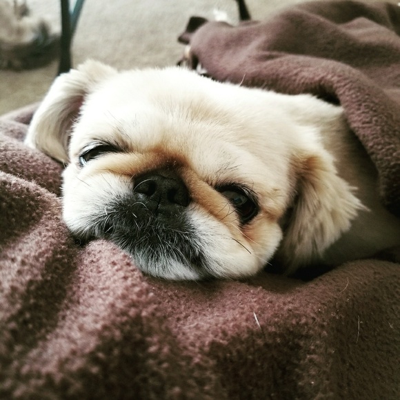 Meet your Posher, Denyse - Picture 3 of 3